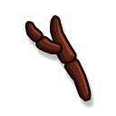 Mantis stag antler.png