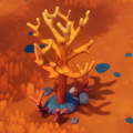 Coral tree.png