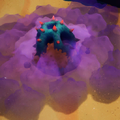 Noxious coral.png