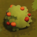 Berry bush.png