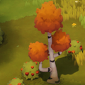 Birch tree.png